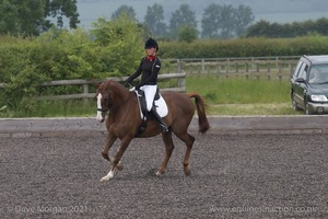 ISIS Dressage Challenge 2008